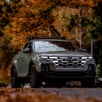 A car underneath various autumn colored trees.