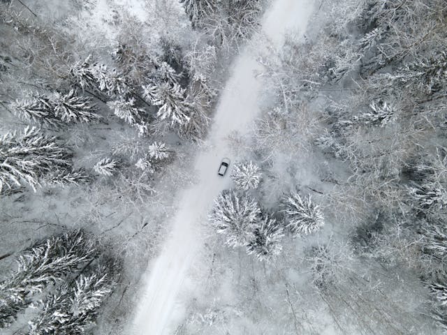 An aerial shot of a car driving through a snow covered forest.