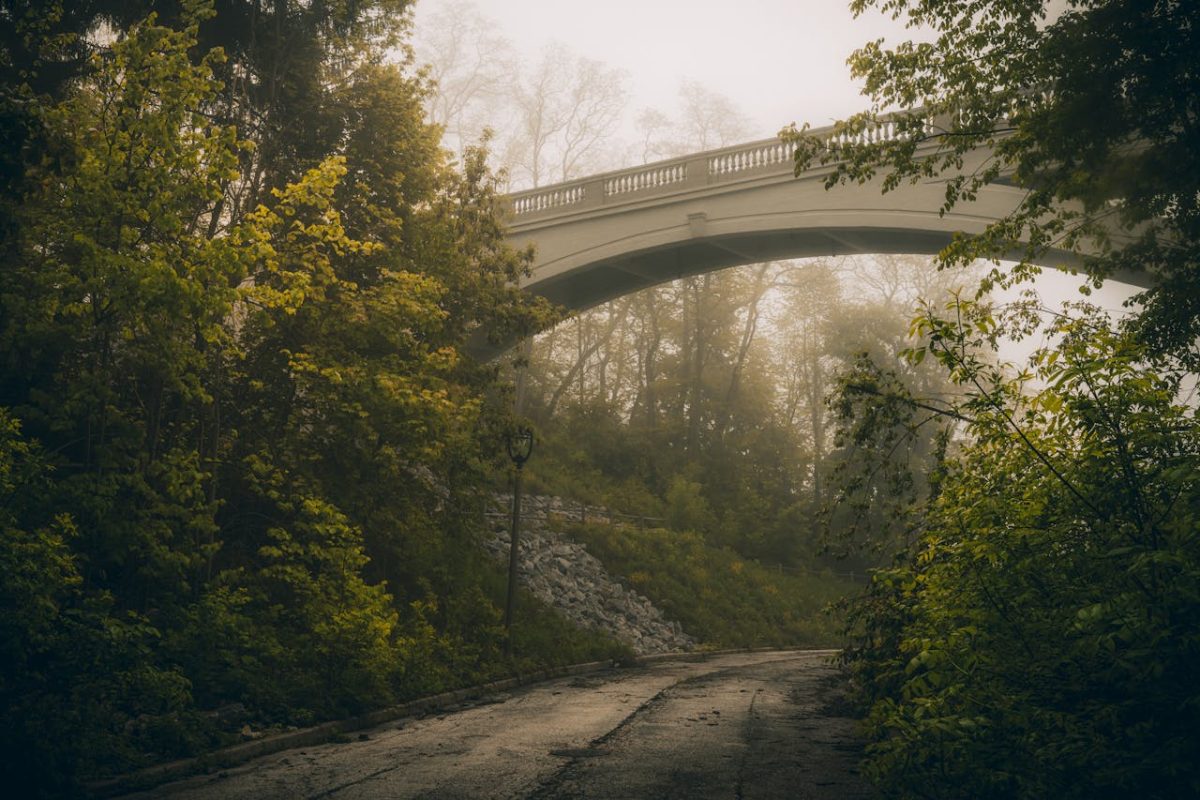 A photo of a foggy bridge in Verdant Milwaukee.