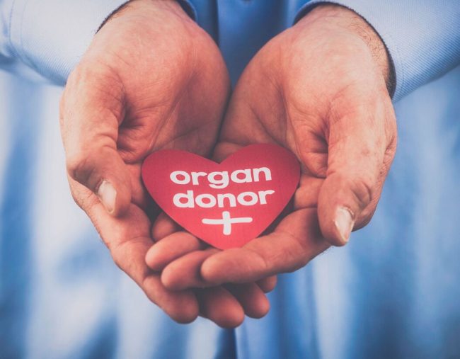 A photo of a person holding a paper heart with the message organ donor.