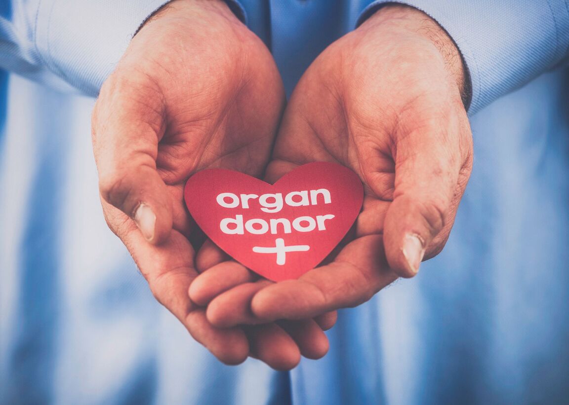 A photo of a person holding a paper heart with the message organ donor.